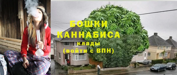 бошки Заводоуковск