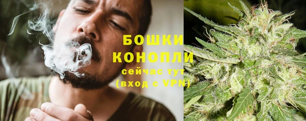 бошки Заводоуковск