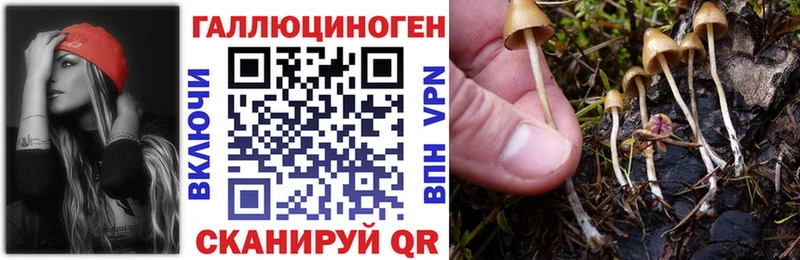 Купить закладки  Красный Кут  Псилоцибиновые грибы Cubensis 
